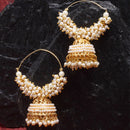 Ethnic White Pearl Beaded Gold Plated Jhumka Jhumki Earrings