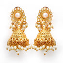 Gold Plated Cluster White Pearl Ethnic South Indian Jewellery Set