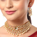 Gold Plated Peacock Motif Multi Color AD Stone Ethnic Traditional Choker Jewellery Set