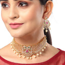Gold Plated Peacock Motif Multi Color AD Stone Ethnic Traditional Choker Jewellery Set