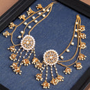 Gold Plated Circular Shape White Pearl Ethnic Ear Chain Earrings