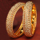 Gold Plated Ethnic Textured Bangles Set For Women