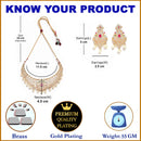 Gold Plated Peacock Motif Multi Color AD Stone Ethnic Traditional Choker Jewellery Set